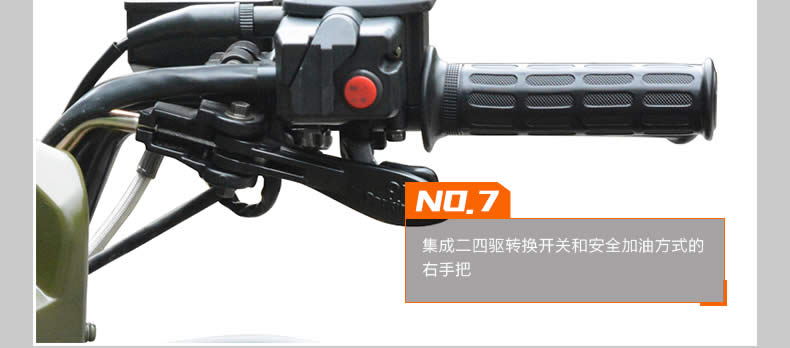 卡豹动力四轮驱动滩车-细节7.jpg