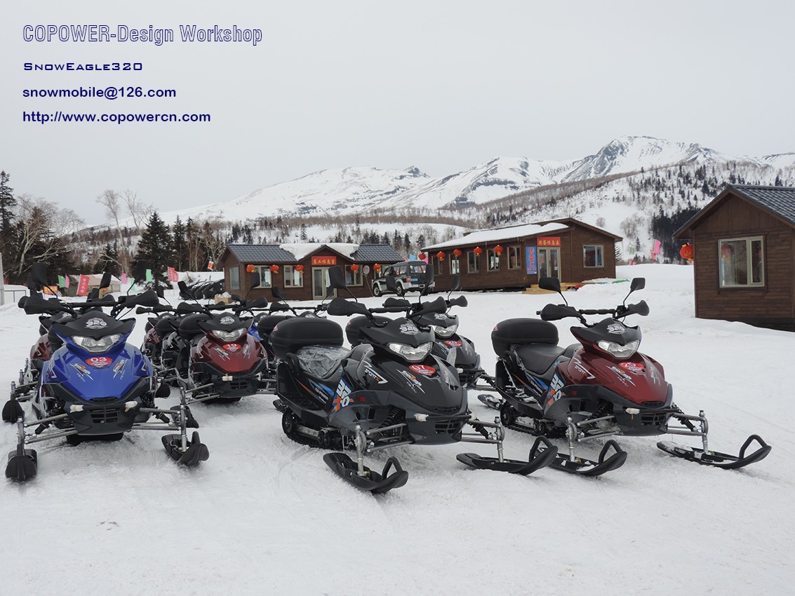 SnowEagle320-12.jpg